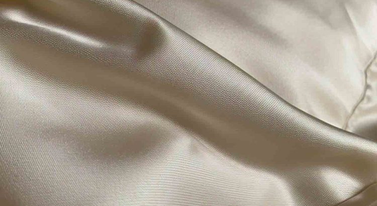 Cozy Earth Silk Pillow