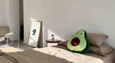 Sleep Green