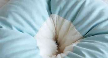 Neck Pain Relief in a Pillow: Discover the Layla Kapok
